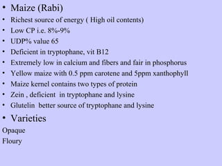 • Maize (Rabi)
• Richest source of energy ( High oil contents)
• Low CP i.e. 8%-9%
• UDP% value 65
• Deficient in tryptophane, vit B12
• Extremely low in calcium and fibers and fair in phosphorus
• Yellow maize with 0.5 ppm carotene and 5ppm xanthophyll
• Maize kernel contains two types of protein
• Zein , deficient in tryptophane and lysine
• Glutelin better source of tryptophane and lysine
• Varieties
Opaque
Floury
 