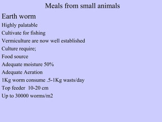 Meals from small animals
Earth worm
Highly palatable
Cultivate for fishing
Vermiculture are now well established
Culture require;
Food source
Adequate moisture 50%
Adequate Aeration
1Kg worm consume .5-1Kg wasts/day
Top feeder 10-20 cm
Up to 30000 worms/m2
 