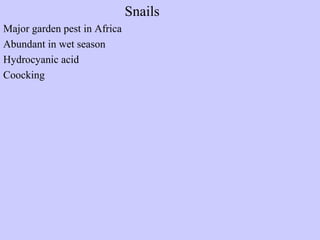 Snails
Major garden pest in Africa
Abundant in wet season
Hydrocyanic acid
Coocking
 