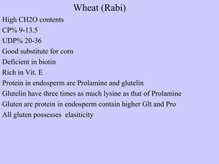 Wheat (Rabi)
High CH2O contents
CP% 9-13.5
UDP% 20-36
Good substitute for corn
Deficient in biotin
Rich in Vit. E
Protein in endosperm are Prolamine and glutelin
Glutelin have three times as much lysine as that of Prolamine
Gluten are protein in endosperm contain higher Glt and Pro
All gluten possesses elasiticity
 