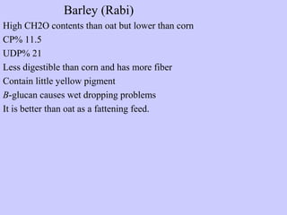 Barley (Rabi)
High CH2O contents than oat but lower than corn
CP% 11.5
UDP% 21
Less digestible than corn and has more fiber
Contain little yellow pigment
B-glucan causes wet dropping problems
It is better than oat as a fattening feed.
 