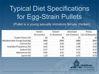 Typical Diet Specifications
for Egg-Strain Pullets
(Pullet is a young sexually immature female chicken)
Starter Grower Developer Prelay
(0-5 weeks) (5-10 weeks) (10-15 weeks) (15-17/18 weeks)
Crude Protein (%) 20 18 15 16
Metabolizable Energy (kcal/kg) 2900 2850 2800 2850
Calcium (%) 1.00 0.95 0.90 2.25
Available Phosphorus (%) 0.45 0.42 0.38 0.42
Sodium (%) 0.17 0.17 0.17 0.17
Methionine (%) 0.45 0.41 0.35 0.40
Lysine (%) 1.10 0.93 0.75 0.73
 