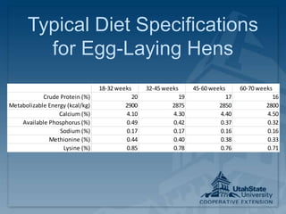 Typical Diet Specifications
for Egg-Laying Hens
18-32 weeks 32-45 weeks 45-60 weeks 60-70 weeks
Crude Protein (%) 20 19 17 16
Metabolizable Energy (kcal/kg) 2900 2875 2850 2800
Calcium (%) 4.10 4.30 4.40 4.50
Available Phosphorus (%) 0.49 0.42 0.37 0.32
Sodium (%) 0.17 0.17 0.16 0.16
Methionine (%) 0.44 0.40 0.38 0.33
Lysine (%) 0.85 0.78 0.76 0.71
 