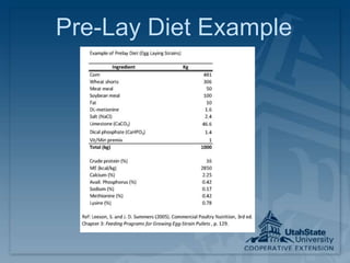 Pre-Lay Diet Example
 