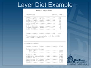 Layer Diet Example
 