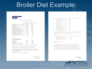 Broiler Diet Example
 