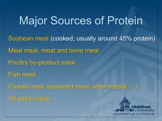 Major Sources of Protein
Soybean meal (cooked; usually around 45% protein)
Meat meal, meat and bone meal
Poultry by-product meal
Fish meal
Canola meal, rapeseed meal, other meals(….)
Oil seed cakes…
 