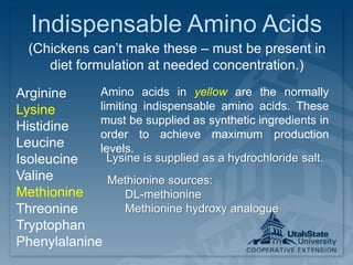 Indispensable Amino Acids
Arginine
Lysine
Histidine
Leucine
Isoleucine
Valine
Methionine
Threonine
Tryptophan
Phenylalanine
(Chickens can’t make these – must be present in
diet formulation at needed concentration.)
Amino acids in yellow are the normally
limiting indispensable amino acids. These
must be supplied as synthetic ingredients in
order to achieve maximum production
levels.
Lysine is supplied as a hydrochloride salt.
Methionine sources:
DL-methionine
Methionine hydroxy analogue
 
