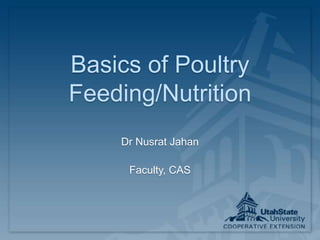 Basics of Poultry
Feeding/Nutrition
Dr Nusrat Jahan
Faculty, CAS
 
