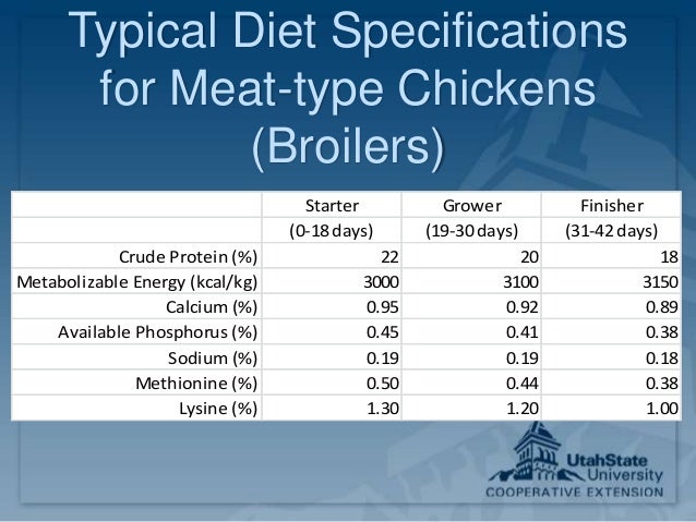 Poultry feeds and nutrition