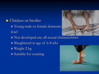  Chicken or broiler
 Young male or female domestic
fowl
 Not developed any all sexual characteristics
 Slaughtered at age of 6-8 wks
 Weight 2 kg
 Suitable for roasting
 