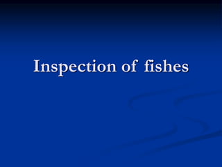Inspection of fishes
 
