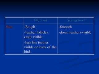 Young fowl
Old fowl
-Smooth
-down feathers visible
-Rough
-feather follicles
easily visible
-hair like feather
visible on back of the
bird
Skin
 