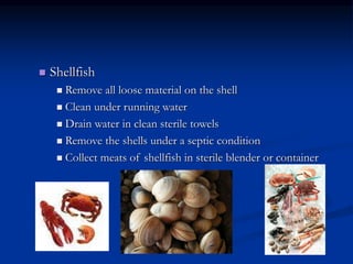  Shellfish
 Remove all loose material on the shell
 Clean under running water
 Drain water in clean sterile towels
 Remove the shells under a septic condition
 Collect meats of shellfish in sterile blender or container
 