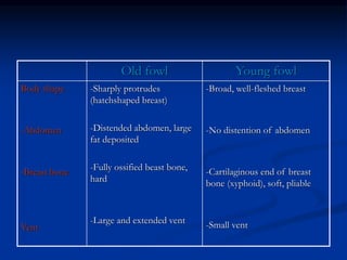 Young fowl
Old fowl
-Broad, well-fleshed breast
-No distention of abdomen
-Cartilaginous end of breast
bone (xyphoid), soft, pliable
-Small vent
-Sharply protrudes
(hatchshaped breast)
-Distended abdomen, large
fat deposited
-Fully ossified beast bone,
hard
-Large and extended vent
Body shape
-Abdomen
-Breast bone
Vent
 