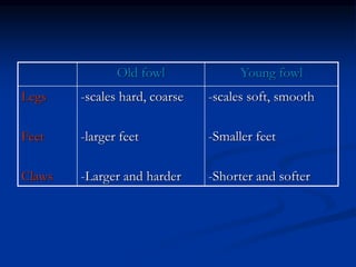 Young fowl
Old fowl
-scales soft, smooth
-Smaller feet
-Shorter and softer
-scales hard, coarse
-larger feet
-Larger and harder
Legs
Feet
Claws
 