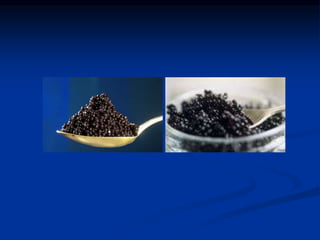 Poultry & fish inspection           .ppt