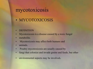 mycotoxicosis
• MYCOTOXICOSIS
• DEFINITION
• Mycotoxicosis is a disease caused by a toxic fungal
• metabolite.
• Mycotoxicosis may affect both humans and
• animals.
• Poultry mycotoxicosis are usually caused by
• fungi that colonize and invade grains and feeds, but other
• environmental aspects may be involved.
 