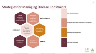 Improving animal health services to village poultry production systems in Ghana and Tanzania