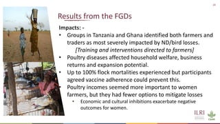 Improving animal health services to village poultry production systems in Ghana and Tanzania