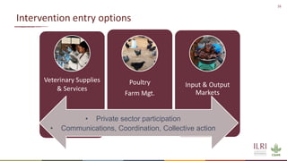 Improving animal health services to village poultry production systems in Ghana and Tanzania