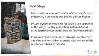 Improving animal health services to village poultry production systems in Ghana and Tanzania