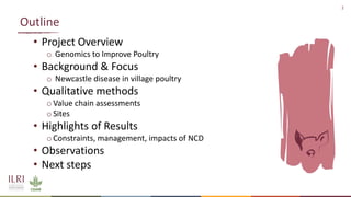 Improving animal health services to village poultry production systems in Ghana and Tanzania