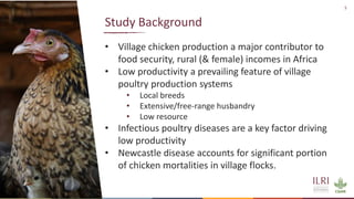 Improving animal health services to village poultry production systems in Ghana and Tanzania