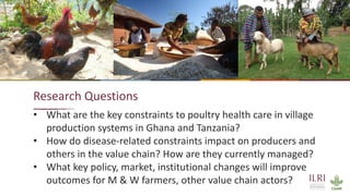 Improving animal health services to village poultry production systems in Ghana and Tanzania