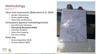 Improving animal health services to village poultry production systems in Ghana and Tanzania