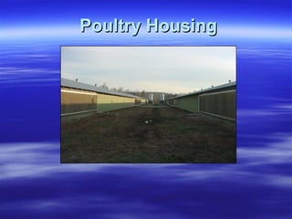 Poultry HousingPoultry Housing
 