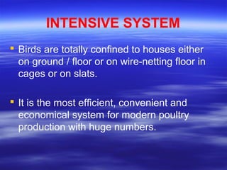 INTENSIVE SYSTEM
 Birds are totally confined to houses either
on ground / floor or on wire-netting floor in
cages or on slats.
 It is the most efficient, convenient and
economical system for modern poultry
production with huge numbers.
 