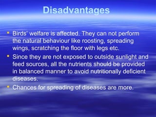 Disadvantages
 Birds’ welfare is affected. They can not perform
the natural behaviour like roosting, spreading
wings, scratching the floor with legs etc.
 Since they are not exposed to outside sunlight and
feed sources, all the nutrients should be provided
in balanced manner to avoid nutritionally deficient
diseases.
 Chances for spreading of diseases are more.
 