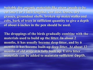 Suitable dry organic materials like straw (needs to beSuitable dry organic materials like straw (needs to be
cut into 2 or 3 inch lengths), saw dust, leaves, drycut into 2 or 3 inch lengths), saw dust, leaves, dry
grasses, groundnut shells, broken up maize stalks andgrasses, groundnut shells, broken up maize stalks and
cobs, bark of trees in sufficient quantity to give a depthcobs, bark of trees in sufficient quantity to give a depth
of about 6 inches in the pen should be used.of about 6 inches in the pen should be used.
The droppings of the birds gradually combine with theThe droppings of the birds gradually combine with the
materials used to build up the litter. In about 2materials used to build up the litter. In about 2
months, it has usually become deep litter, and by 6months, it has usually become deep litter, and by 6
months it has become built-up deep litter. At about 12months it has become built-up deep litter. At about 12
months of old stage it is fully built up. Extra littermonths of old stage it is fully built up. Extra litter
materials can be added to maintain sufficientmaterials can be added to maintain sufficient depth.depth.
 