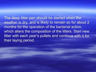 The deep litter pen should be started when the
weather is dry, and is likely to remain so for about 2
months for the operation of the bacterial action,
which alters the composition of the litters. Start new
litter with each year’s pullets and continue with it for
their laying period.
 