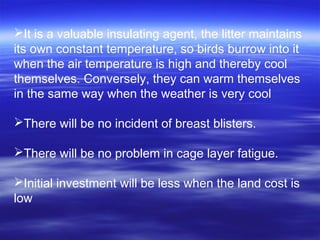 It is a valuable insulating agent, the litter maintains
its own constant temperature, so birds burrow into it
when the air temperature is high and thereby cool
themselves. Conversely, they can warm themselves
in the same way when the weather is very cool
There will be no incident of breast blisters.
There will be no problem in cage layer fatigue.
Initial investment will be less when the land cost is
low
 