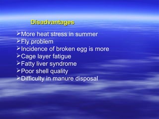 DisadvantagesDisadvantages
More heat stress in summer
Fly problem
Incidence of broken egg is more
Cage layer fatigue
Fatty liver syndrome
Poor shell quality
Difficulty in manure disposal
 