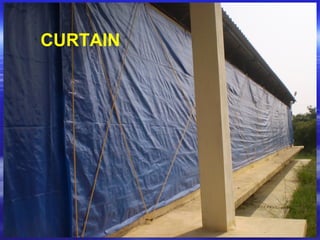 CURTAIN
 