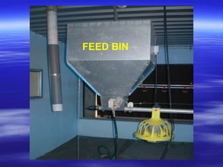 FEED BIN
 