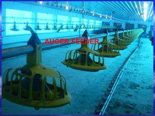 AUGER FEEDER
 