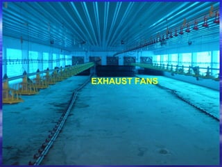 EXHAUST FANS
 