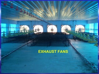 EXHAUST FANS
 