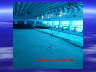 TEMPERATURE SENSOR
 