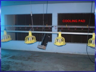 COOLING PAD
 