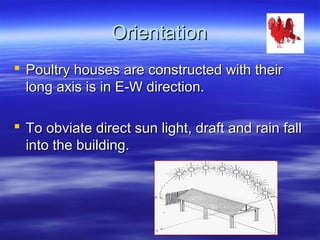 OrientationOrientation
 Poultry houses are constructed with theirPoultry houses are constructed with their
long axis is in E-W direction.long axis is in E-W direction.
 To obviate direct sun light, draft and rain fallTo obviate direct sun light, draft and rain fall
into the building.into the building.
 