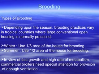 Brooding
Types of Brooding
Depending upon the season, brooding practices vary
in tropical countries where large conventional open
housing is normally practiced.
Winter : Use 1/3 area of the house for brooding.
Summer : Use 1/2 area of the house for brooding.
In view of fast growth and high rate of metabolism,
commercial broilers need special attention for provision
of enough ventilation.
 