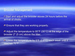 Brooder Management
Start and adjust the brooder stoves 24 hours before the
arrival of chicks.
Ensure that they are working properly.
Adjust the temperature to 95°F (35°C) at the edge of the
brooder 2" (5 cm) above the litter.
Lower the temperature by 5°F (2.8°C) each week until it
reaches 70°F.
 