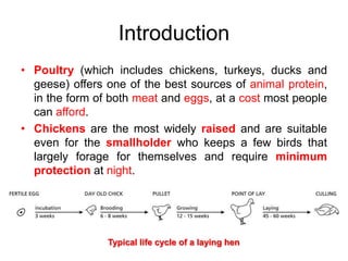 Poultry housing | PPTX