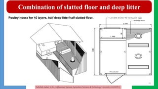 Slatted Unit Poultry housing management and shelter Management | PPTX
