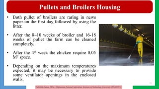 Poultry housing management and shelter Management | PPTX